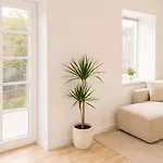C - Light 2 - Sunny Balcony And Free Parking * Odense